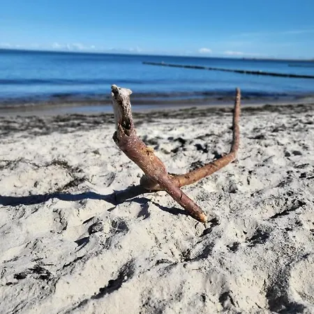 Strandbungalow Wittower Heide 24 בית נופש *