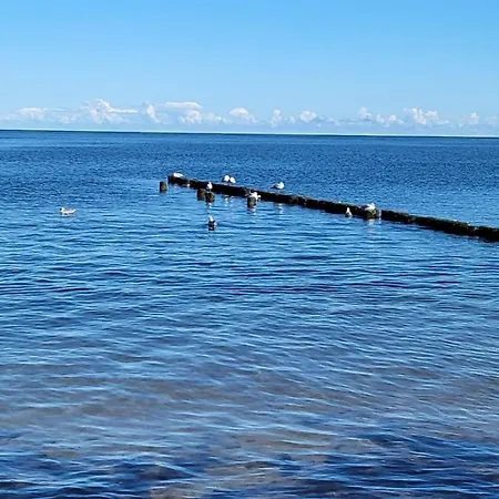 בית נופש Strandbungalow Wittower Heide 24 *