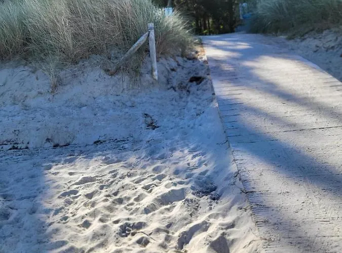 Strandbungalow Wittower Heide 24